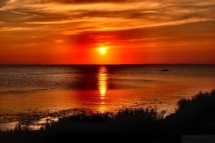 IMG_20220827_111336_301